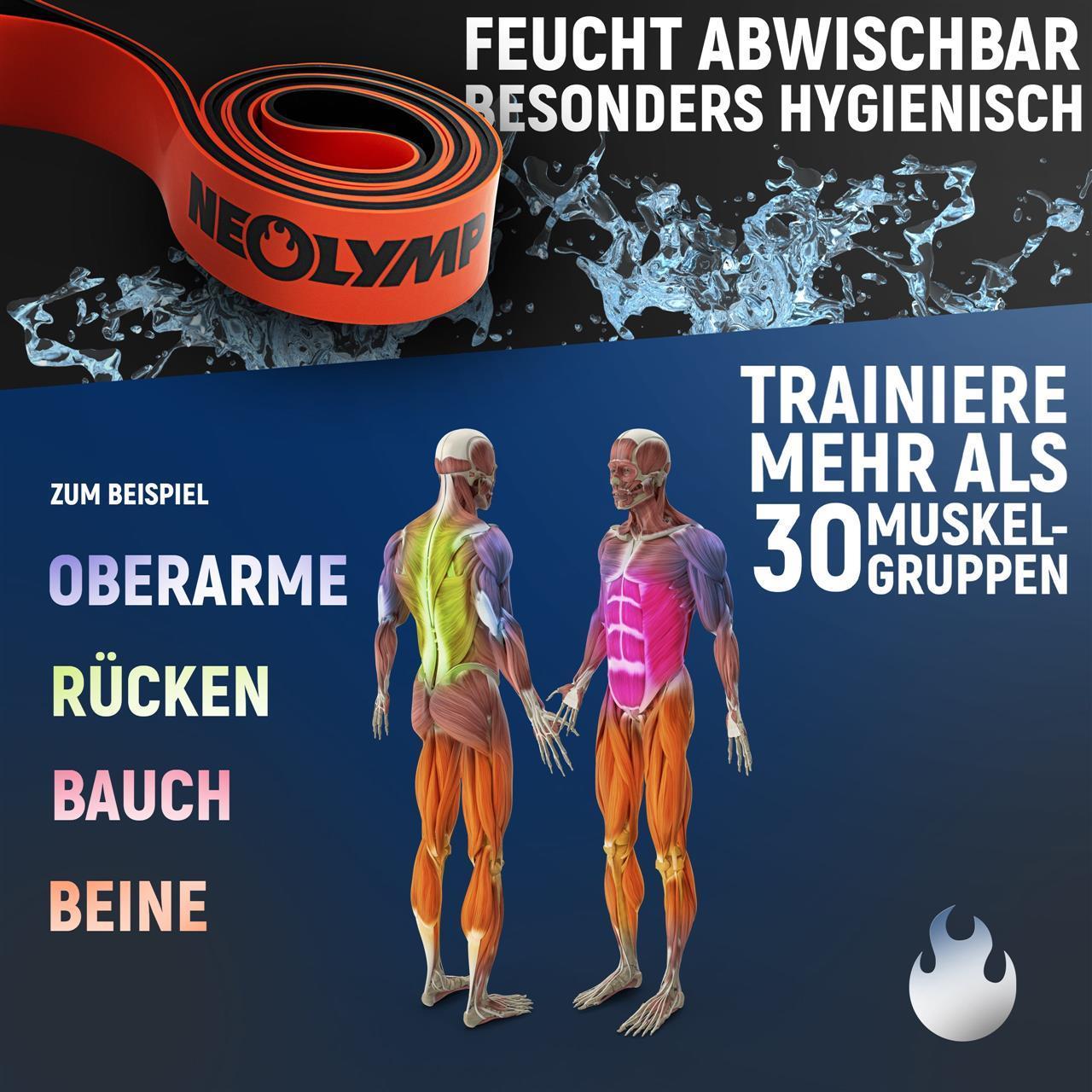 Heavy Resistance Bands aus Latex - - B-Ware von NEOLYMP | Fitnessequipment und Sportartikel