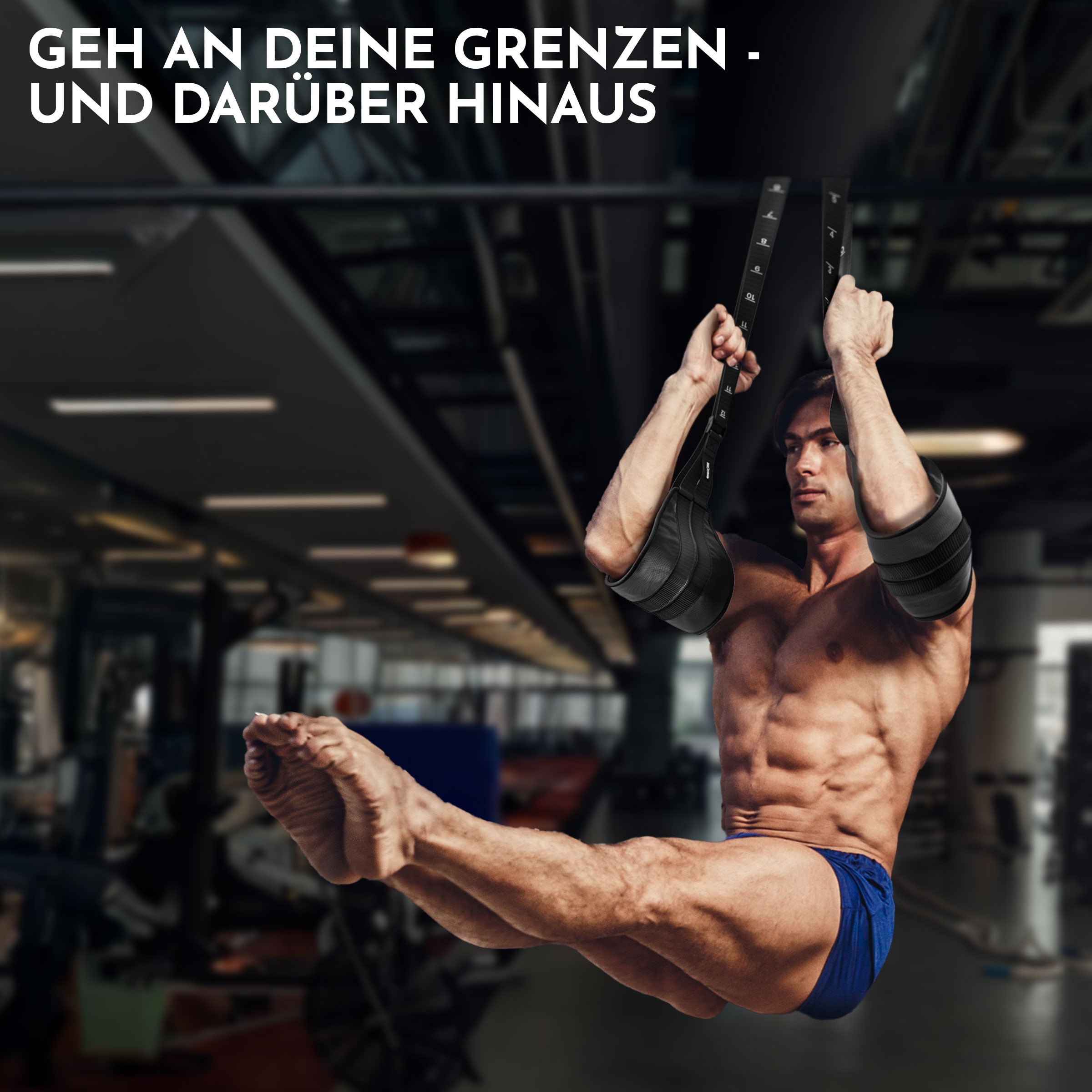 Bauchmuskel-Schlaufen - Trainingsschlaufen Ab Straps - - Bauchtrainer von NEOLYMP | Fitnessequipment und Sportartikel