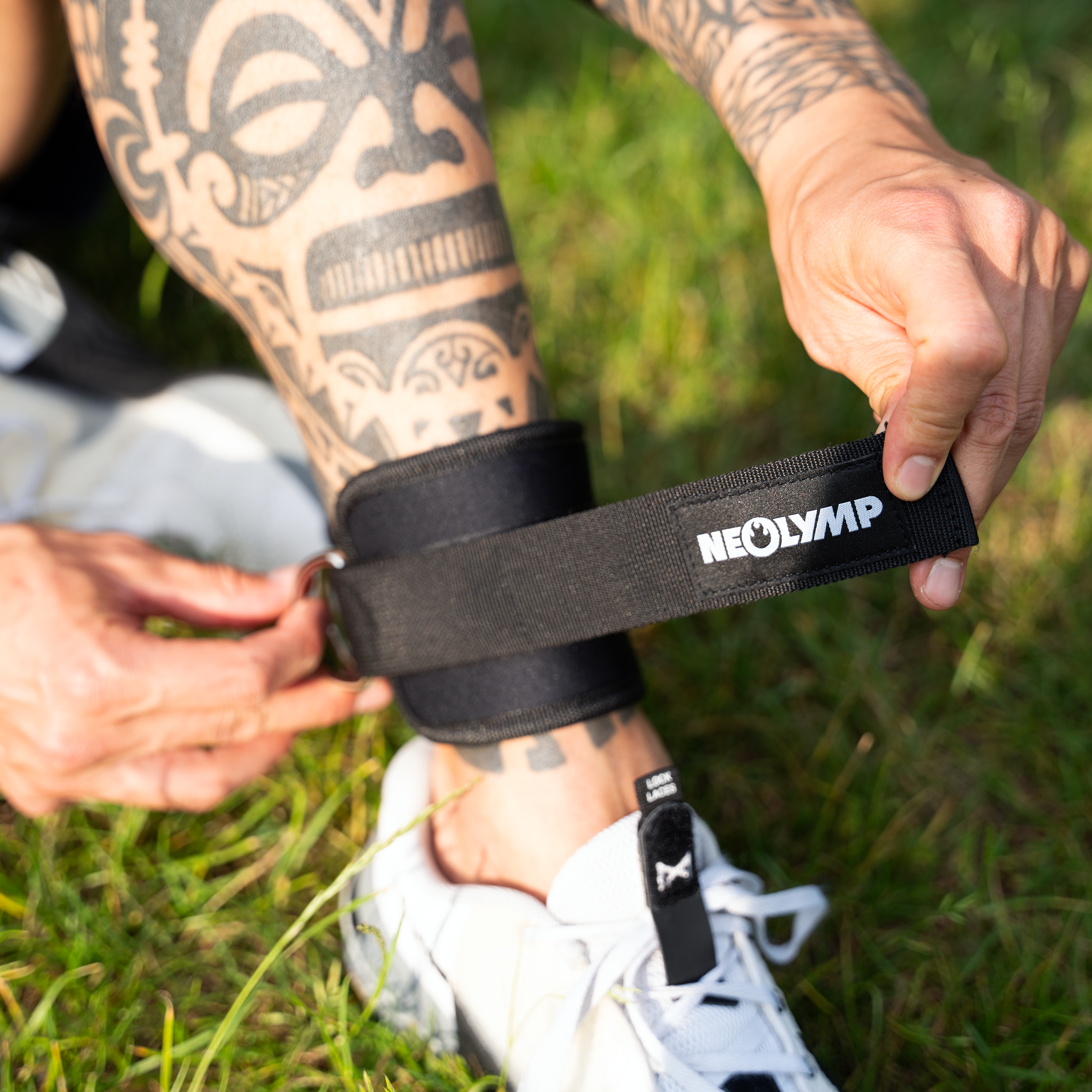 Fitnessbänder Komplett-Set Herbst-Aktion - - Fitnessbänder von NEOLYMP | Fitnessequipment und Sportartikel