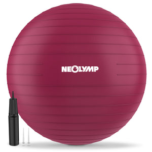 Gymnastikball - für aktives Sitzen, Recovery und Physio - Berry - Sportgerät von NEOLYMP | Fitnessequipment und Sportartikel