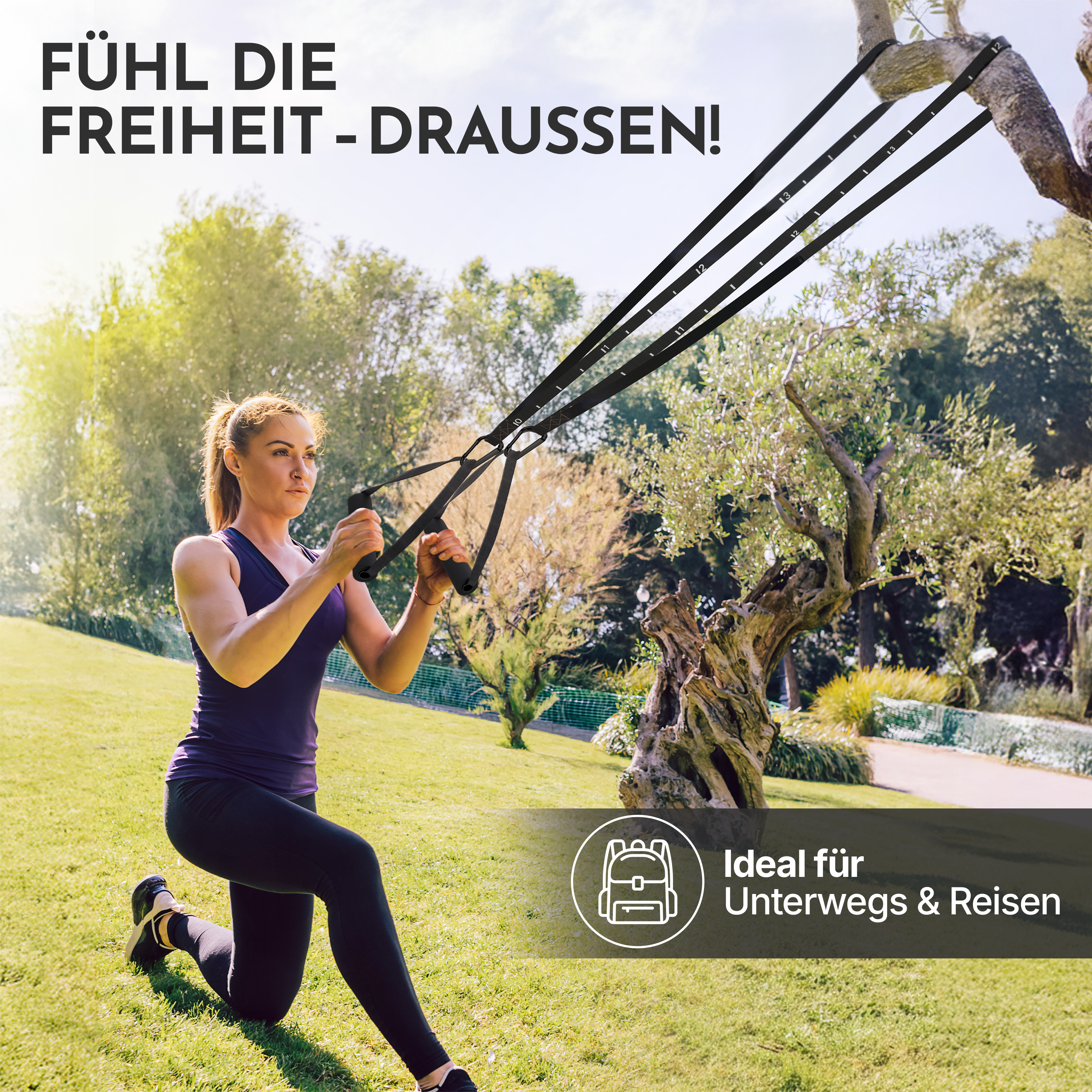 Schlingentrainer Komplett-Set - sling trainer - - Sportgerät von NEOLYMP | Fitnessequipment und Sportartikel
