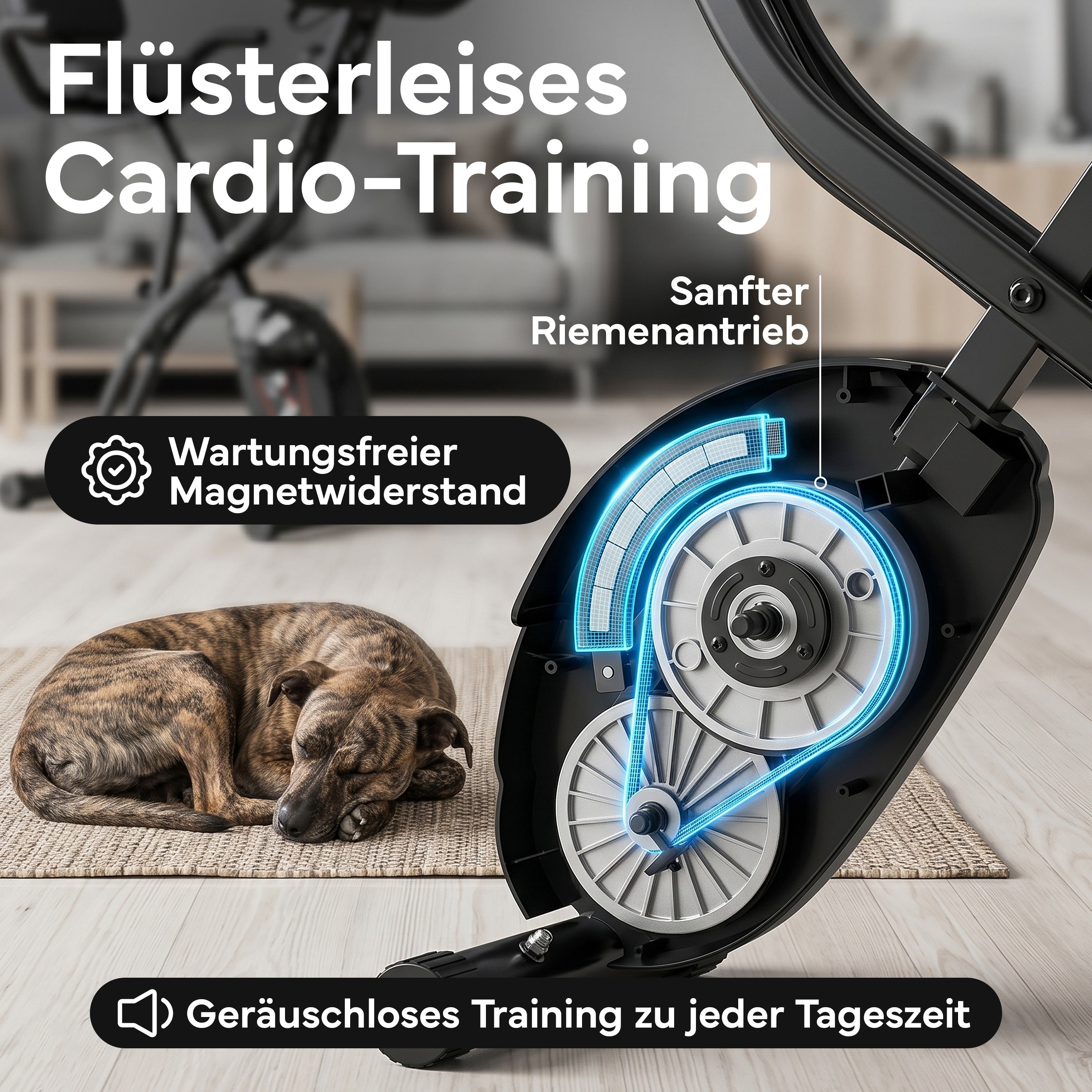 Fitnessbike X-Bike, Heimtrainer mit 8 Widerstandsstufen - - Sportgerät von NEOLYMP | Fitnessequipment und Sportartikel