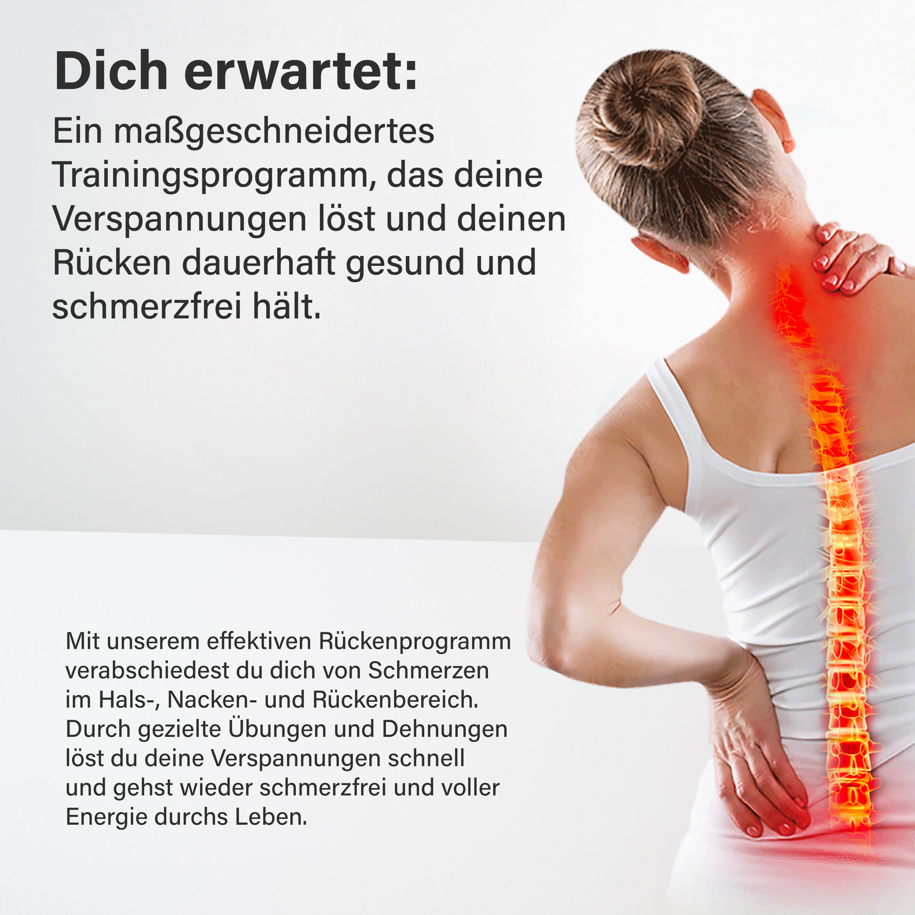 Online-Präventionskurs für den Rücken - mit gratis Fitnessbänder-Set - - Online-Kurs von NEOLYMP | Fitnessequipment und Sportartikel